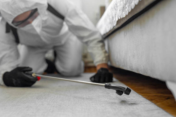 Professional Pest Control technician working in Lee County County, VA
